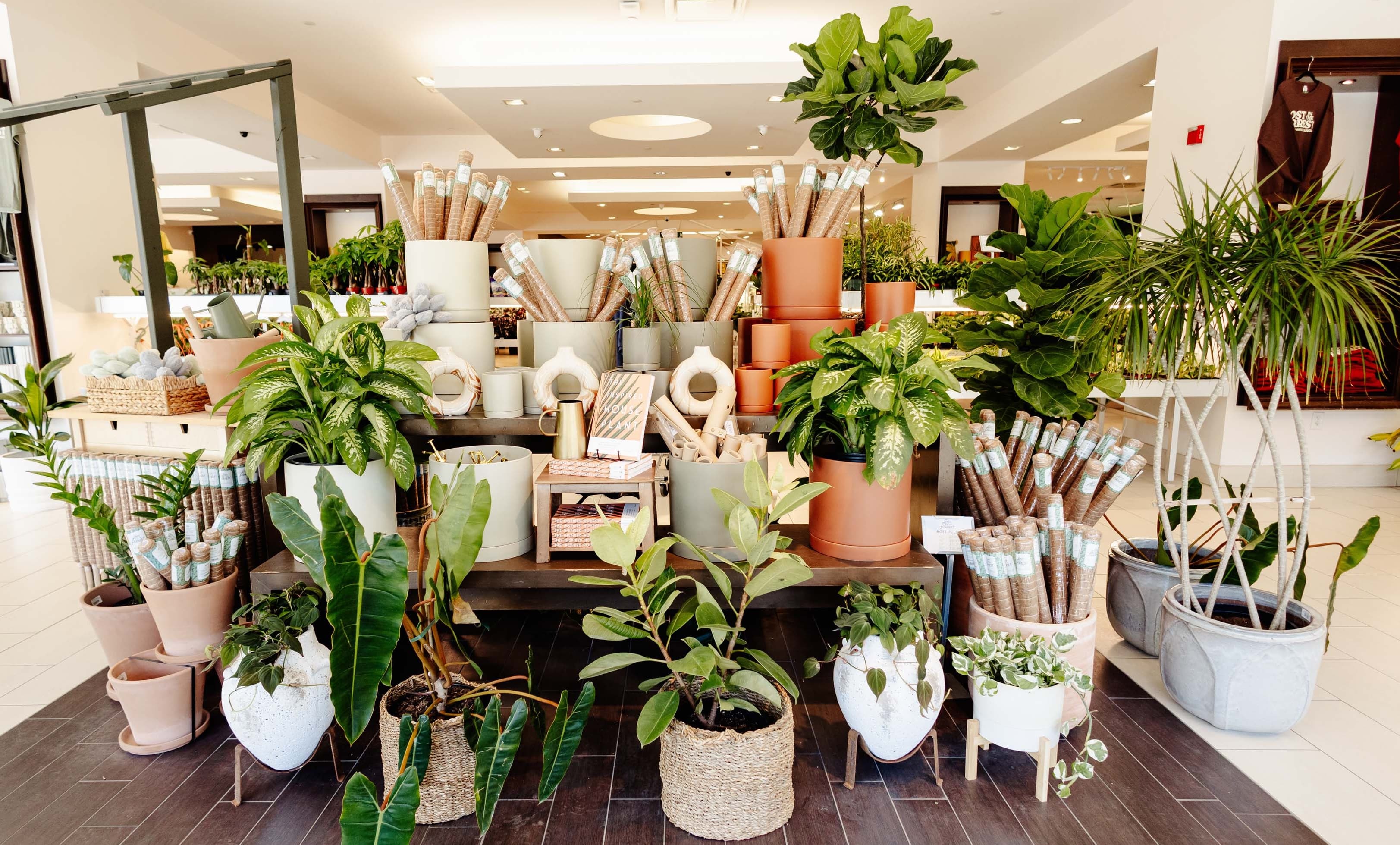 Lost in the Forrest workshop scene